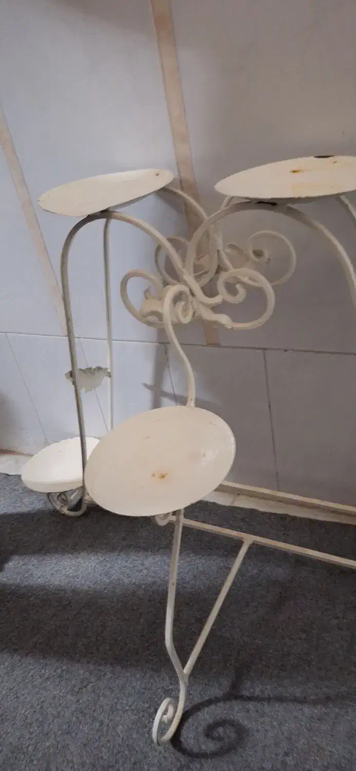 جا گلدانی|گل و گیاه طبیعی|قم, زند آباد|دیوار