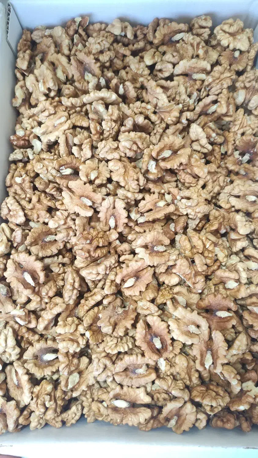 مغز گردو درجه یک و شکری|خوردنی و آشامیدنی|قم, خاکفرج|دیوار