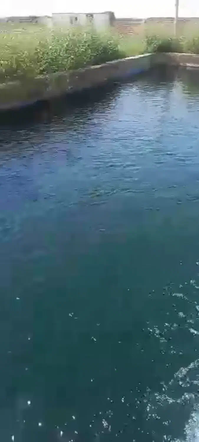 ۱۸ هکتار زمین کشاورزی با چاه دربست|اجارهٔ دفتر صنعتی، کشاورزی، تجاری|بشاریات, |دیوار