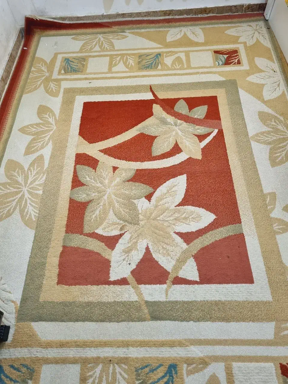 گلیم فرش ۶ متری|گلیم، جاجیم، گبه|رشت, فلسطین|دیوار