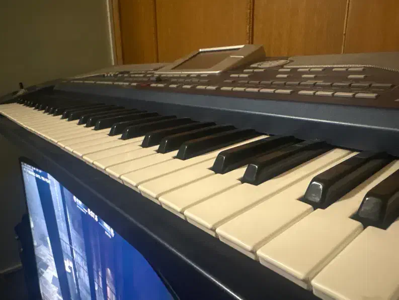 pa 800|پیانو، کیبورد، آکاردئون|باغ بهادران, |دیوار