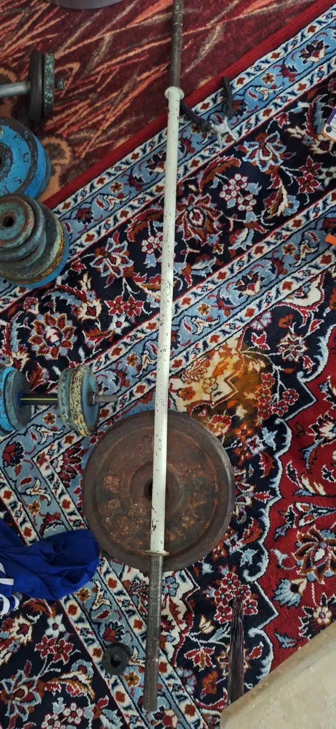 وزنه و دمبل و هالتر|تجهیزات ورزشی|صحنه, |دیوار