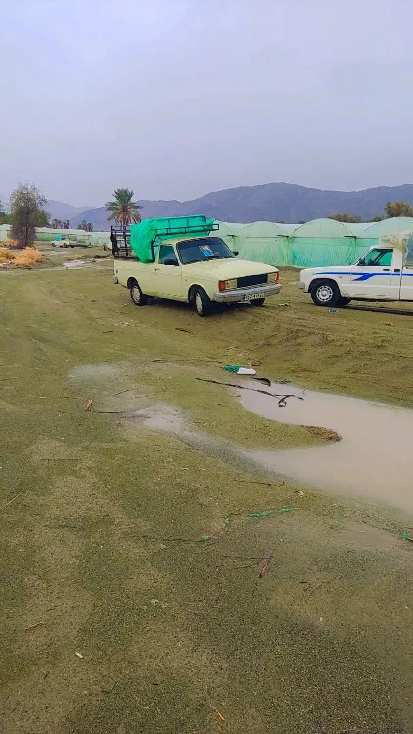 پیکان مدل93|خودرو سواری و وانت|چاه مرید, |دیوار