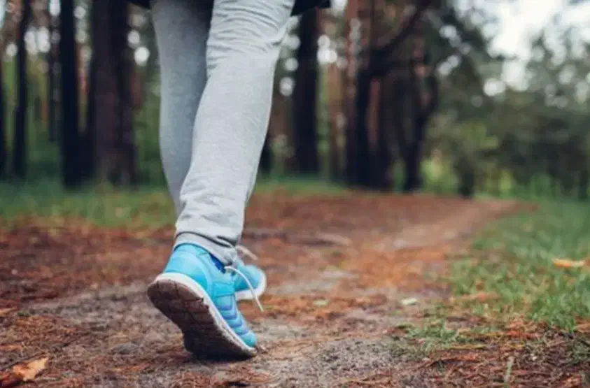 پیاده روی و طبیعت گردی گرگان|فعالیت داوطلبانه|گرگان, |دیوار