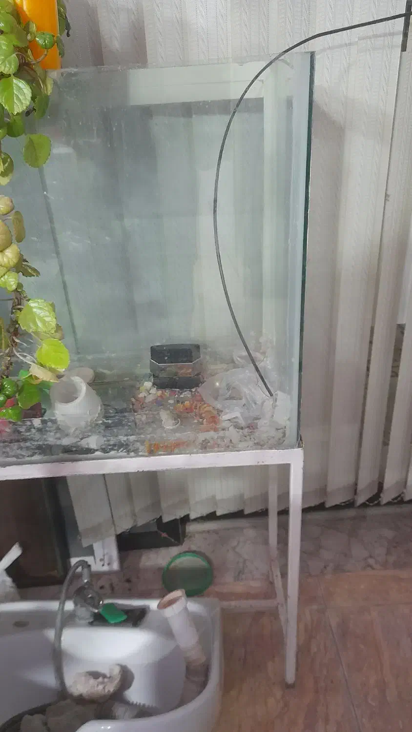 آکواریوم بزرگ با پایه|ماهی|آشخانه, |دیوار