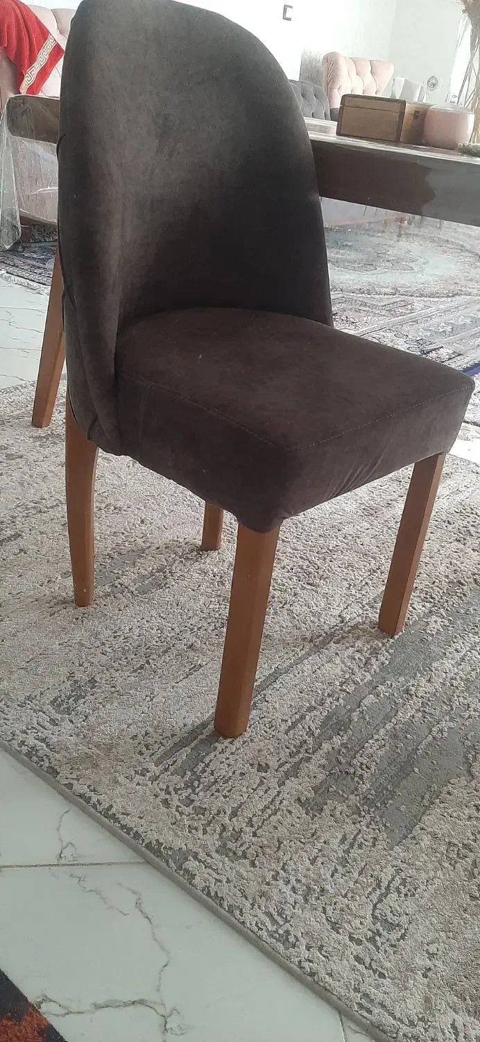 صندلی ناهارخوری|میز و صندلی غذاخوری|شیراز, دشت چنار|دیوار