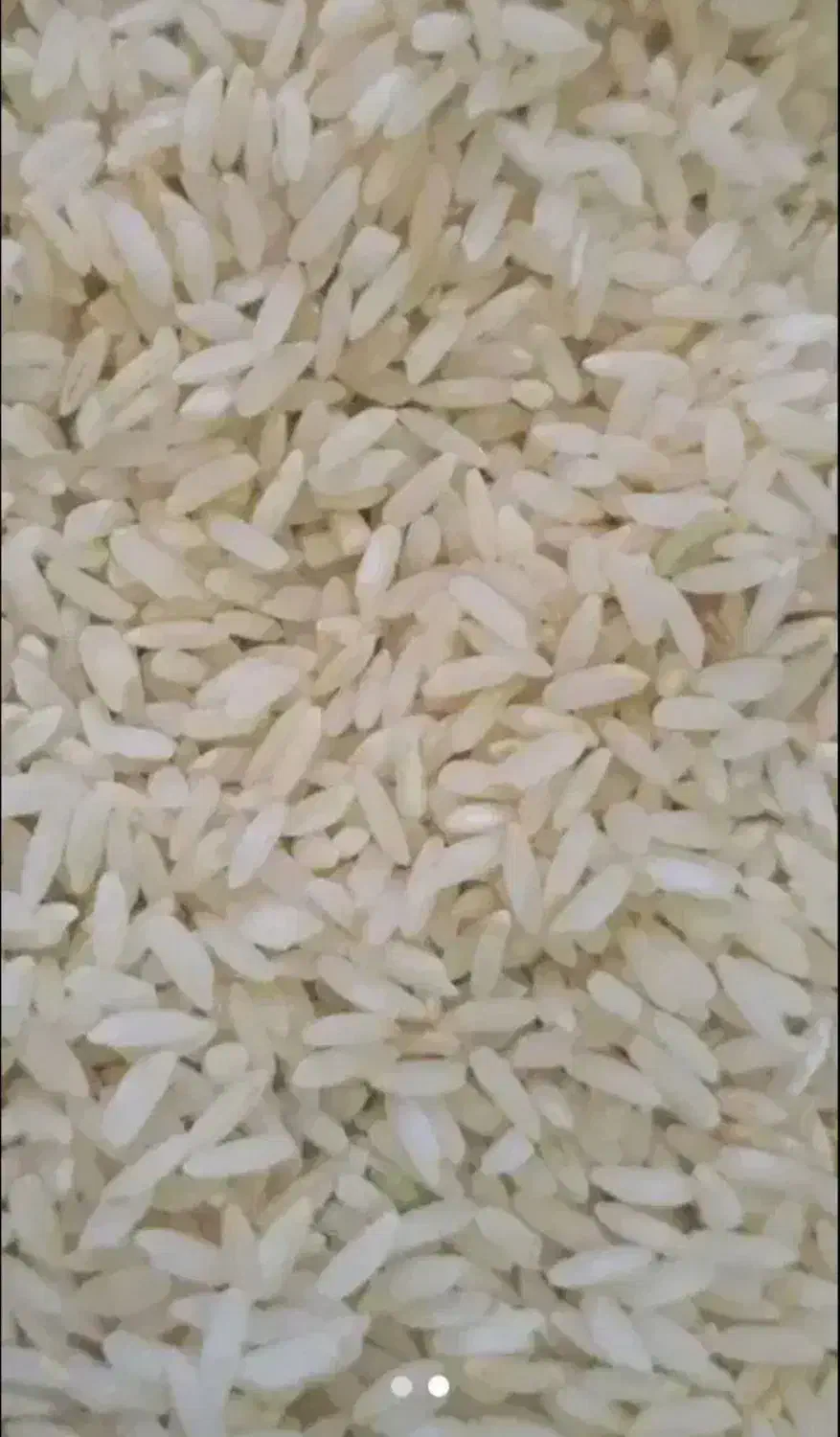 برنج چمپا اصل درجه 1|خوردنی و آشامیدنی|چیتاب, |دیوار