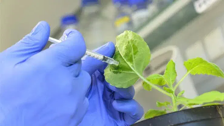 کار در فروشگاه کود و سم کشاورزی در دهدشت|استخدام خدمات فروشگاه و رستوران|دهدشت, |دیوار