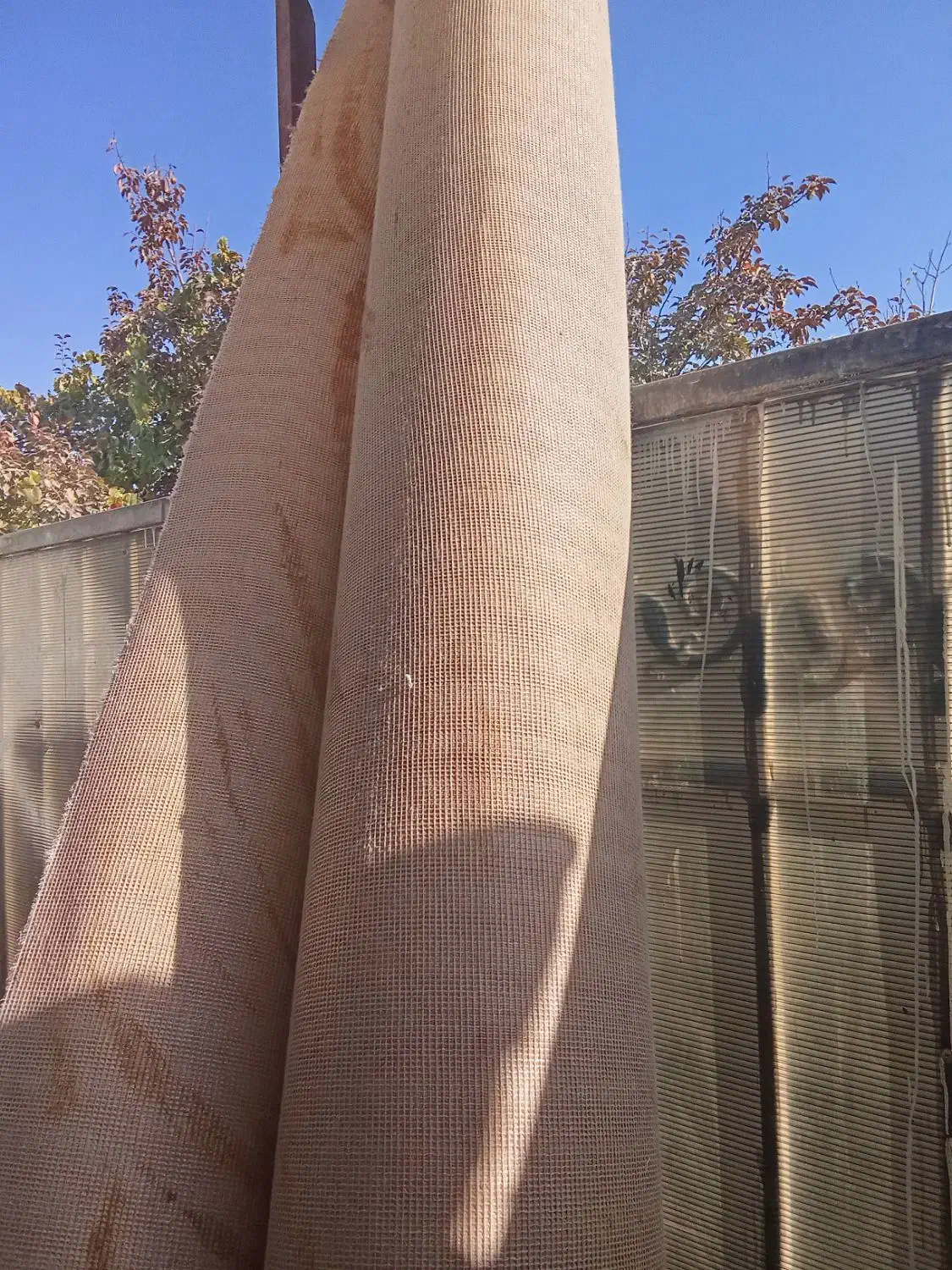 موکت دسته دوم،فوق ضخیم،شسته،شده مرتب|موکت|مشهد, توس (بلوار توس)|دیوار