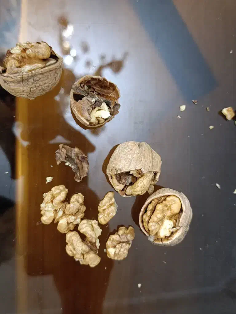 فروش گردو درجه ۱|خوردنی و آشامیدنی|زارچ, |دیوار