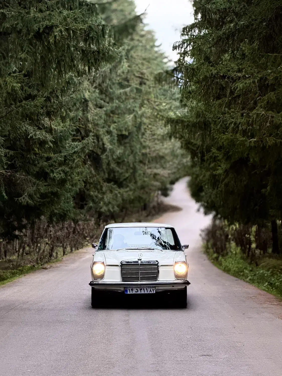 اجاره ماشین عروس|خودرو اجاره‌ای|دابودشت, |دیوار