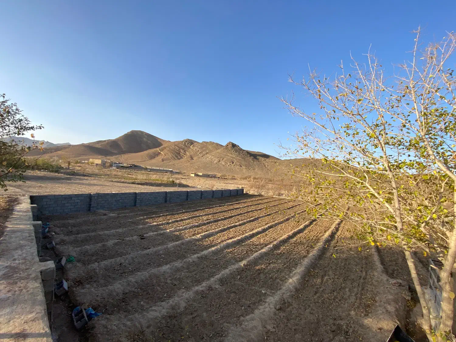 زمینه کشاورزی زیر کشت زعفران(قیمت توافقی)|فروش زمین و ملک کلنگی|نیاسر, |دیوار