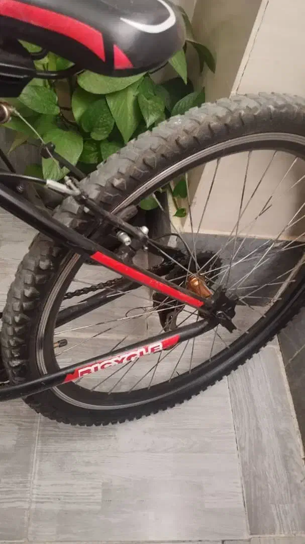 دوچرخه سایز ۲۶ویوا|دوچرخه، اسکیت، اسکوتر|فردیس, قریشی|دیوار