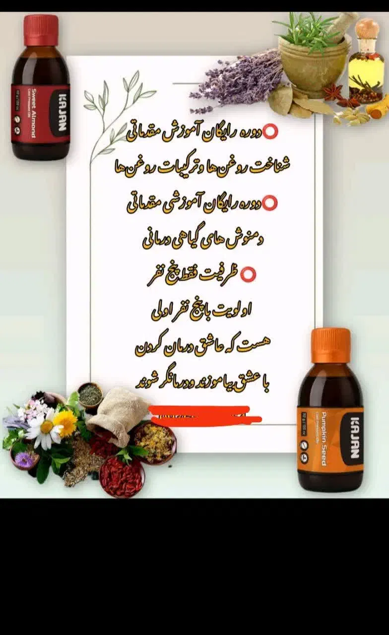 کارگاه بانوان|گردهمایی و همایش|قم, عمار یاسر|دیوار