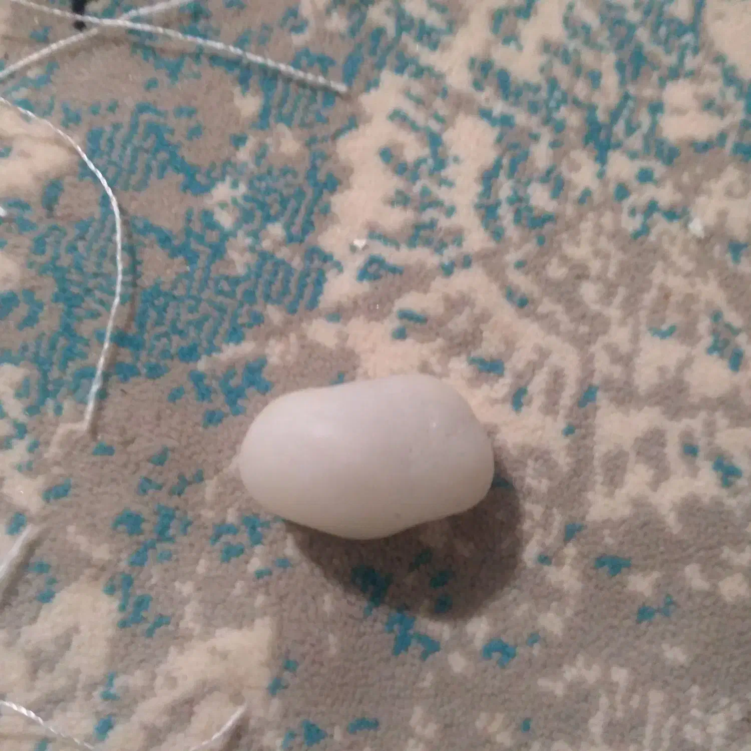 سنگ|کلکسیون اشیاء عتیقه|بجنورد, |دیوار