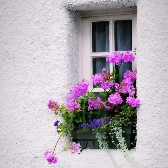 تدریس خصوصی ویژه پایه پنجم تا نهم|خدمات آموزشی|شیروان (خراسان), |دیوار