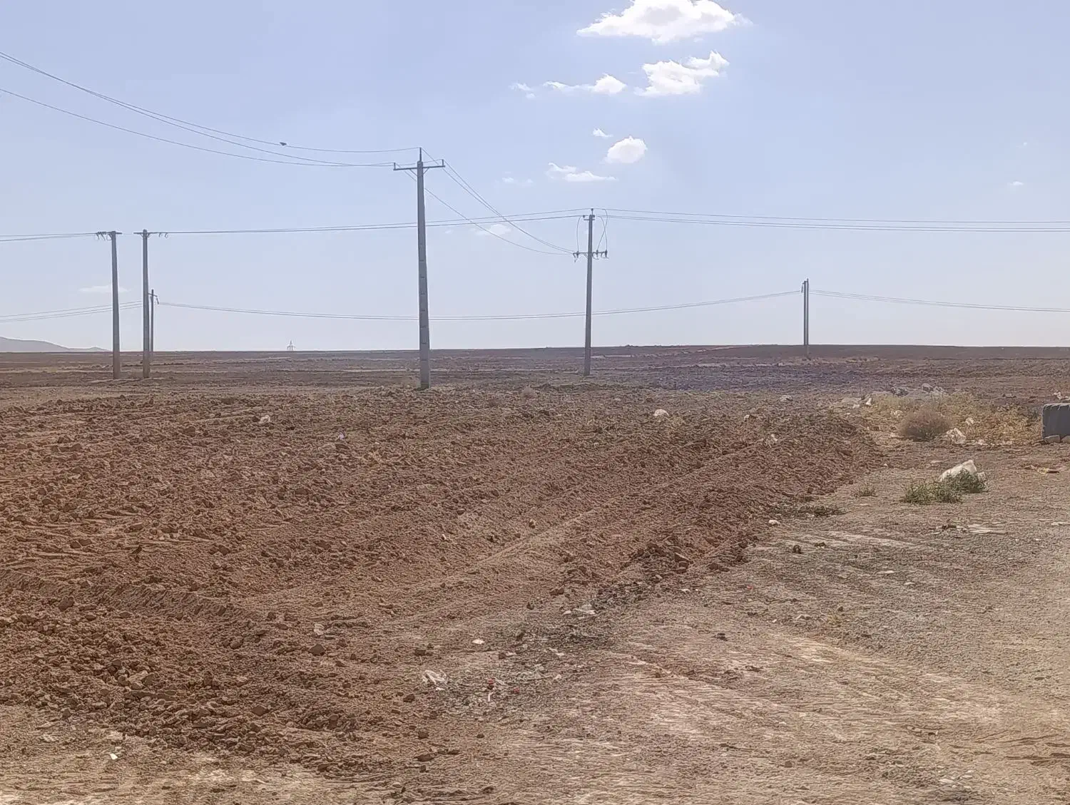 بذر گندم|خدمات باغبانی و درختکاری|چهاردولی, |دیوار