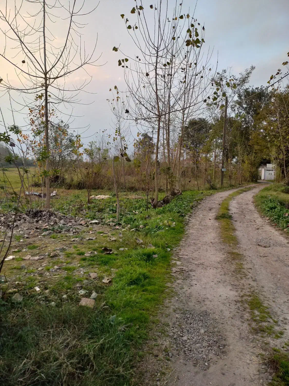 فروش زمین مسکونی|فروش زمین و ملک کلنگی|تهران, انبار نفت|دیوار