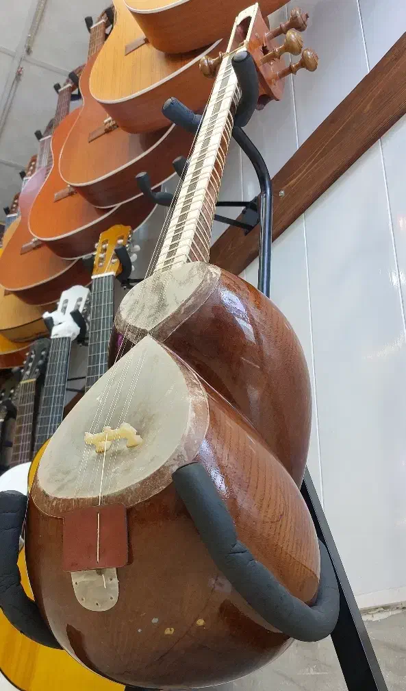 تار|سازهای سنتی|جهرم, |دیوار