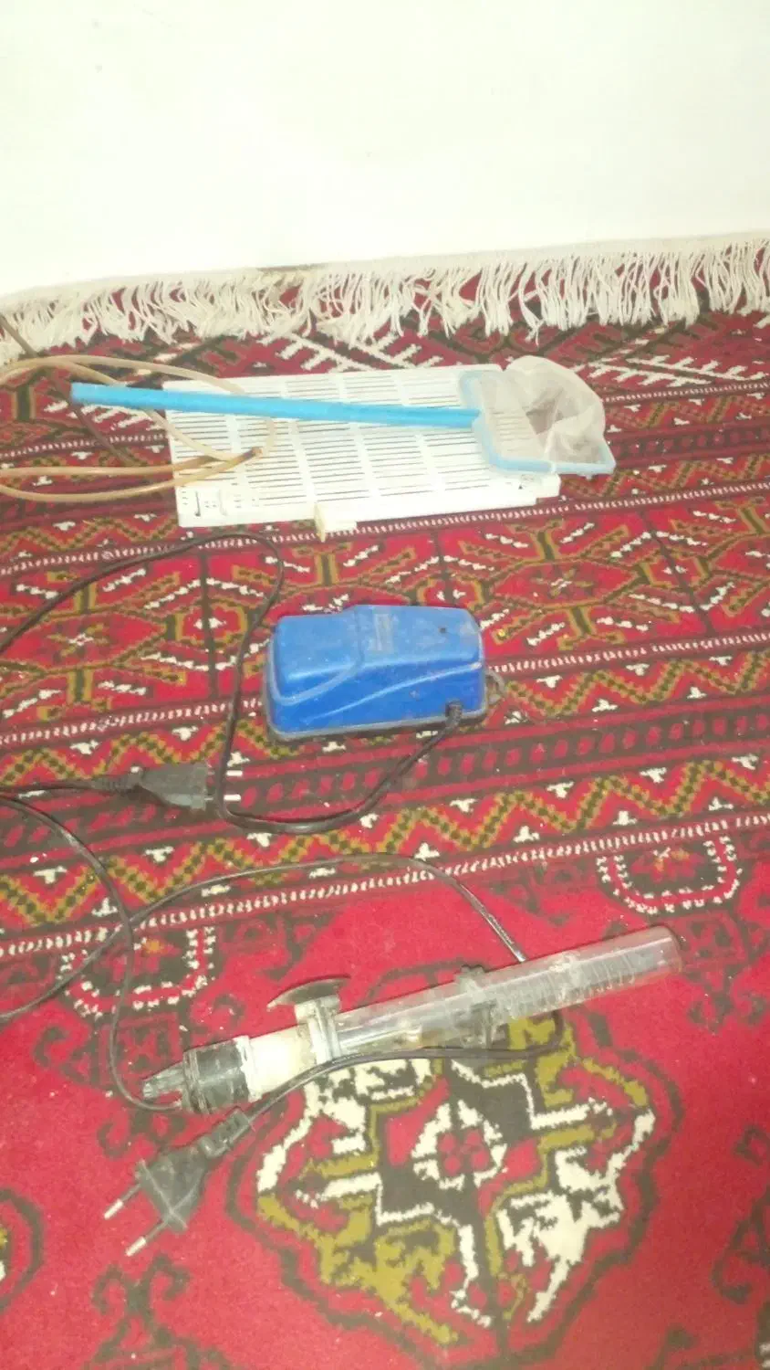 اکفاریوم|ماهی|گرگان, |دیوار