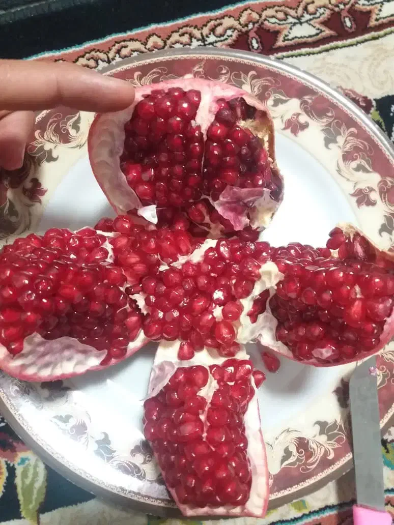 آب زرشک ، مربا زرشک تازه ، آب انار|خوردنی و آشامیدنی|قائن, |دیوار