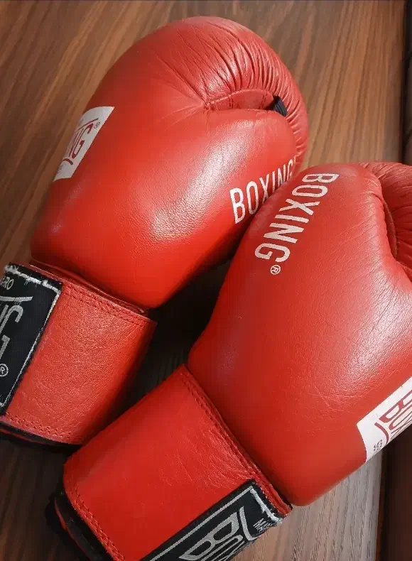 دستکش بوکس|تجهیزات ورزشی|تاکستان, |دیوار