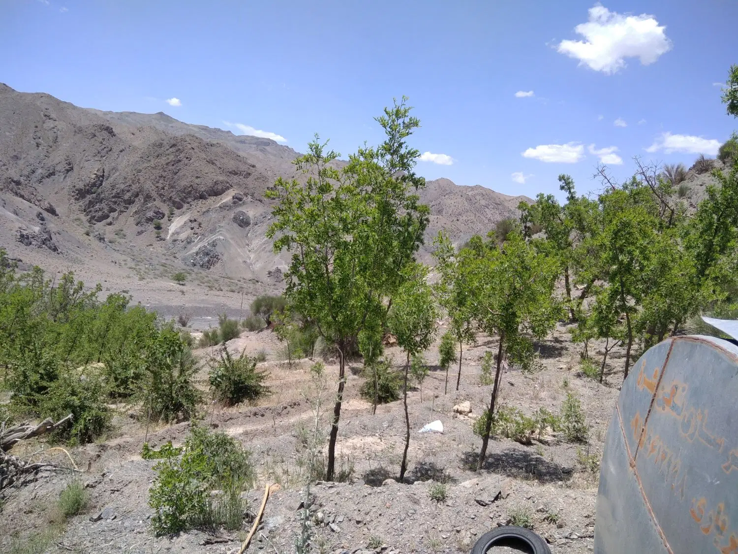 تصویر 4