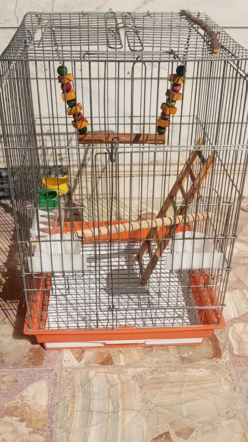 قفس بزرگ عروس هلندی و کاسکو|لوازم جانبی حیوانات|شیراز, کیان شهر|دیوار