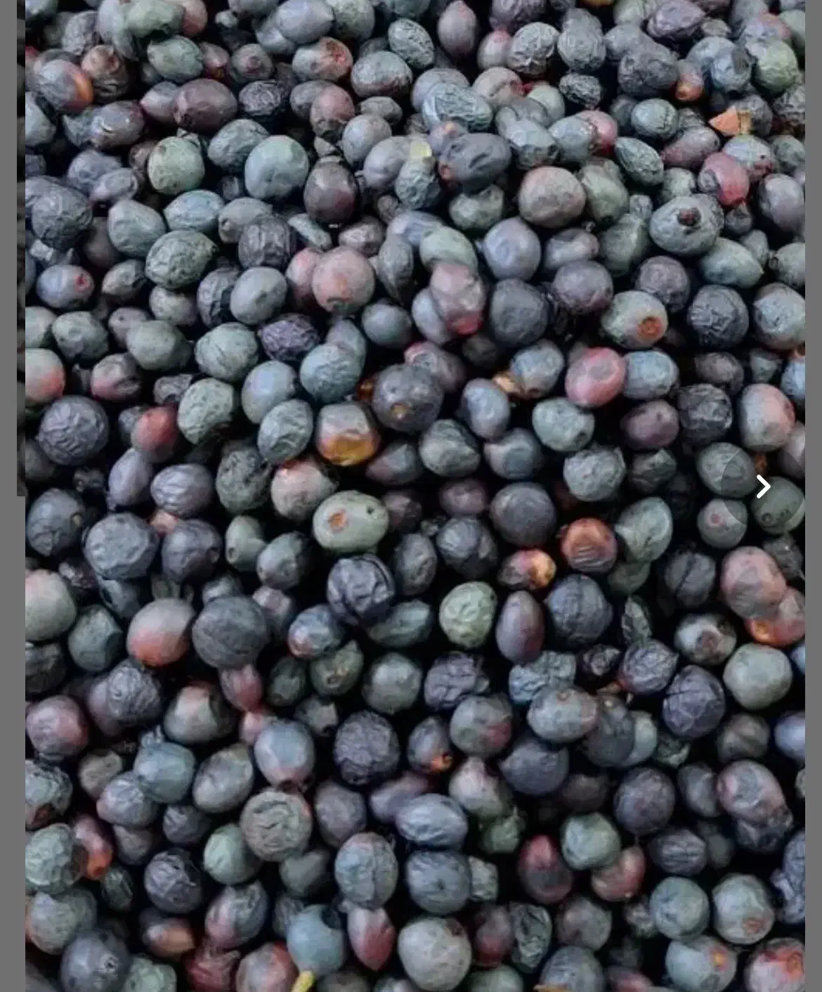 کلخنگ تر وتازه پاک نکرده فروش عمده و کیلویی|خوردنی و آشامیدنی|شیراز, علی آباد|دیوار