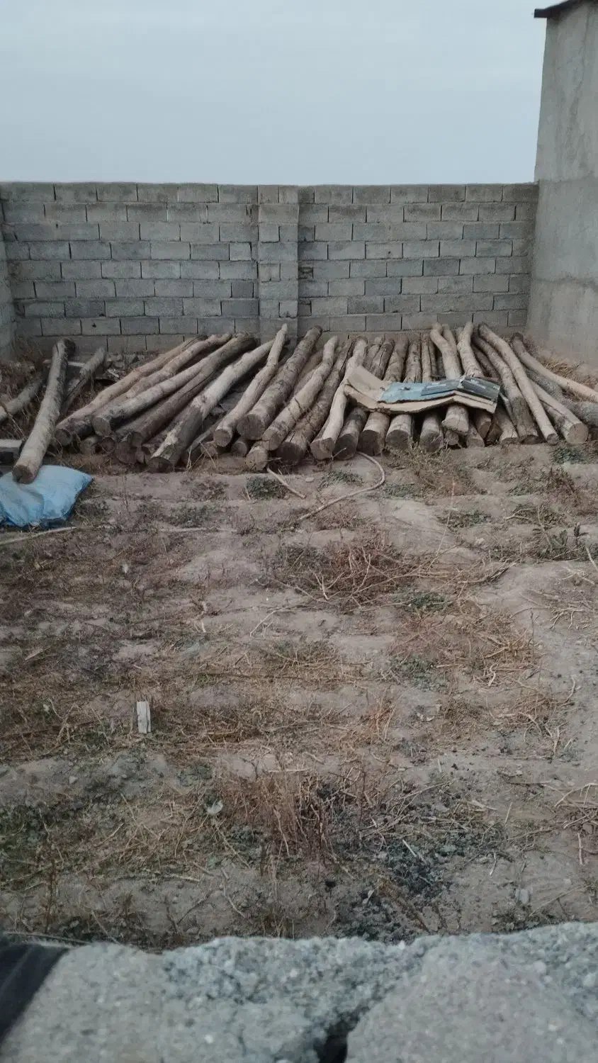 مساله ساختمان|مصالح و تجهیزات ساختمان|نمین, |دیوار