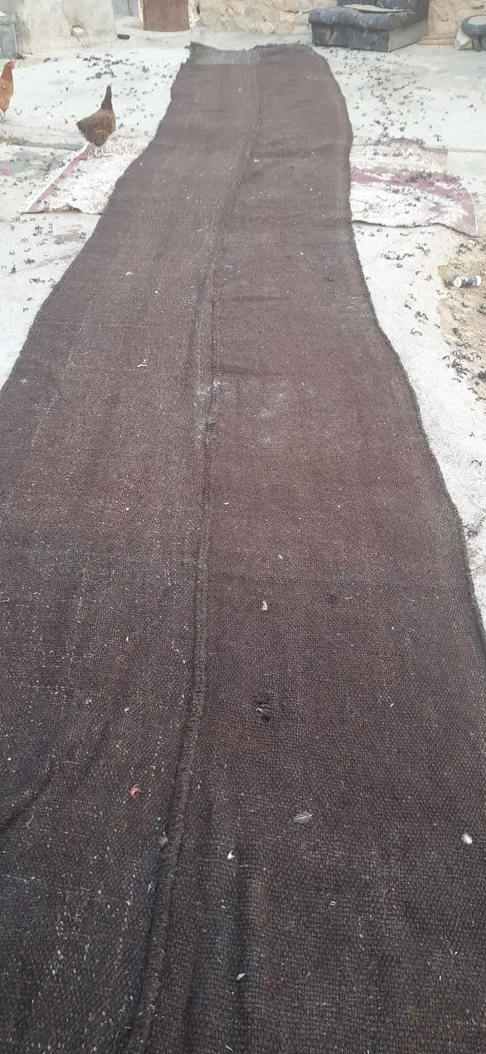 سیاه چادر دوار|کوهنوردی و کمپینگ|زرین آباد, |دیوار