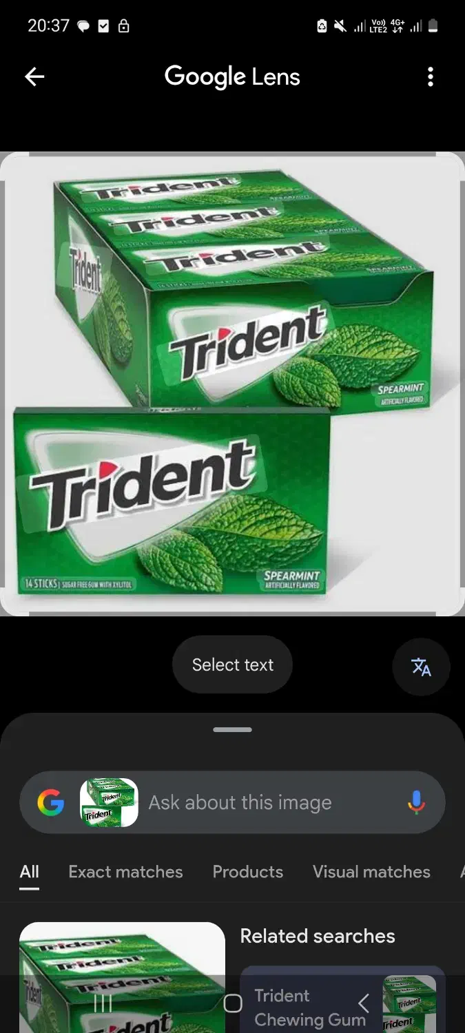 آدامس تریدنت|خوردنی و آشامیدنی|شیراز, ستارخان|دیوار