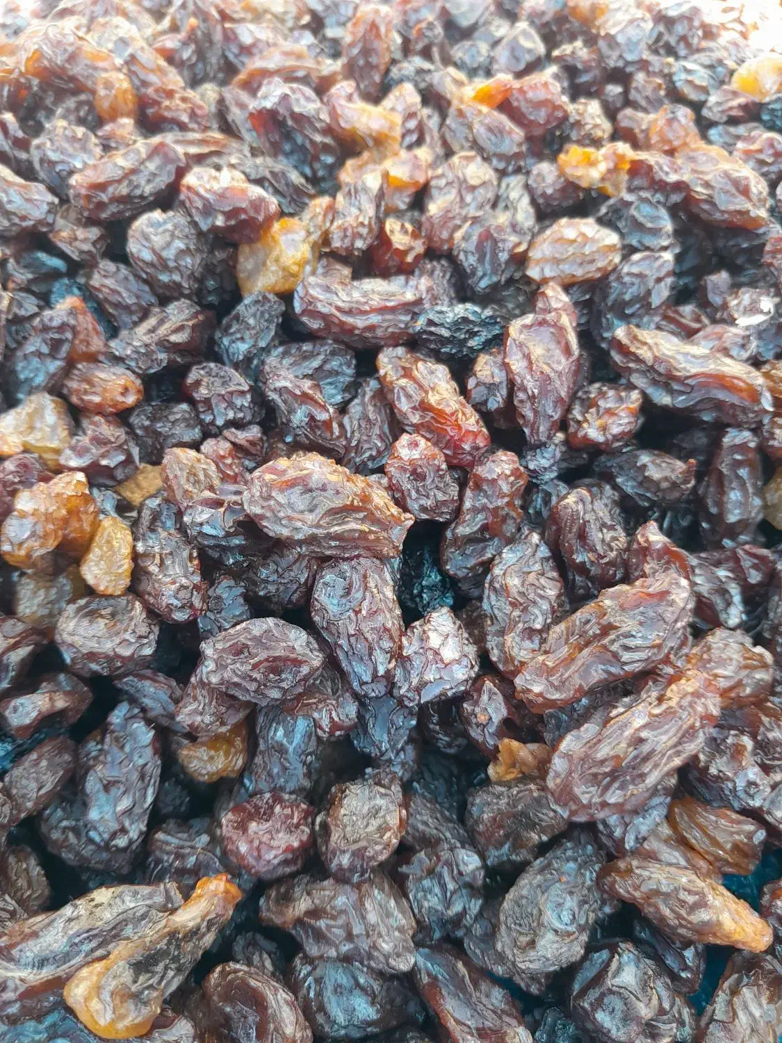 کشمش،مویز|خوردنی و آشامیدنی|یاسوج, |دیوار