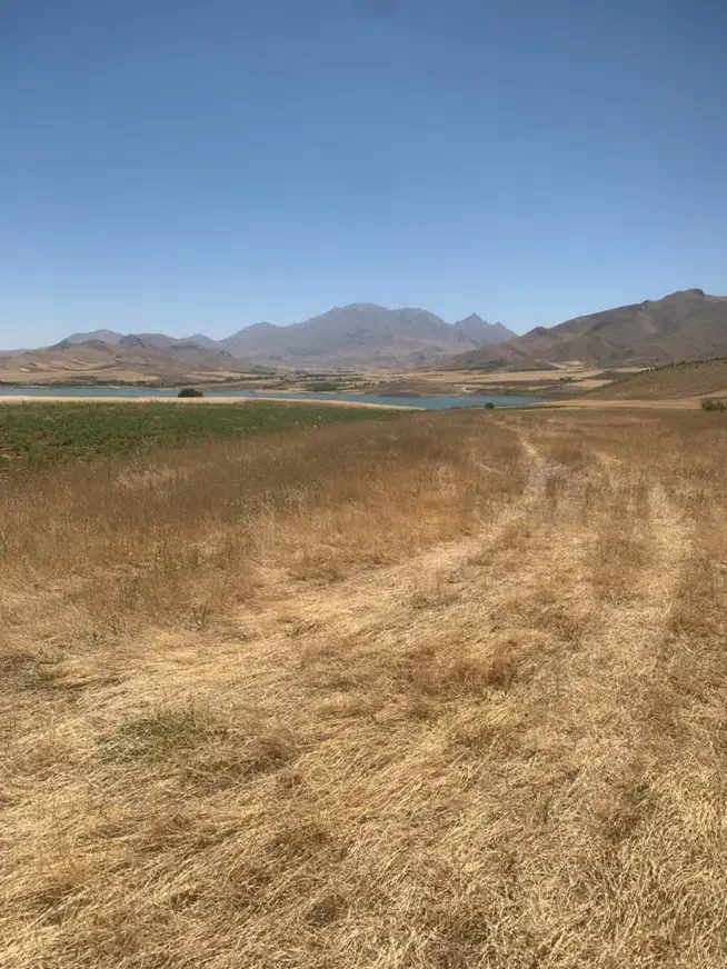 گم شده کیف|اشیا|تهران, بریانک|دیوار