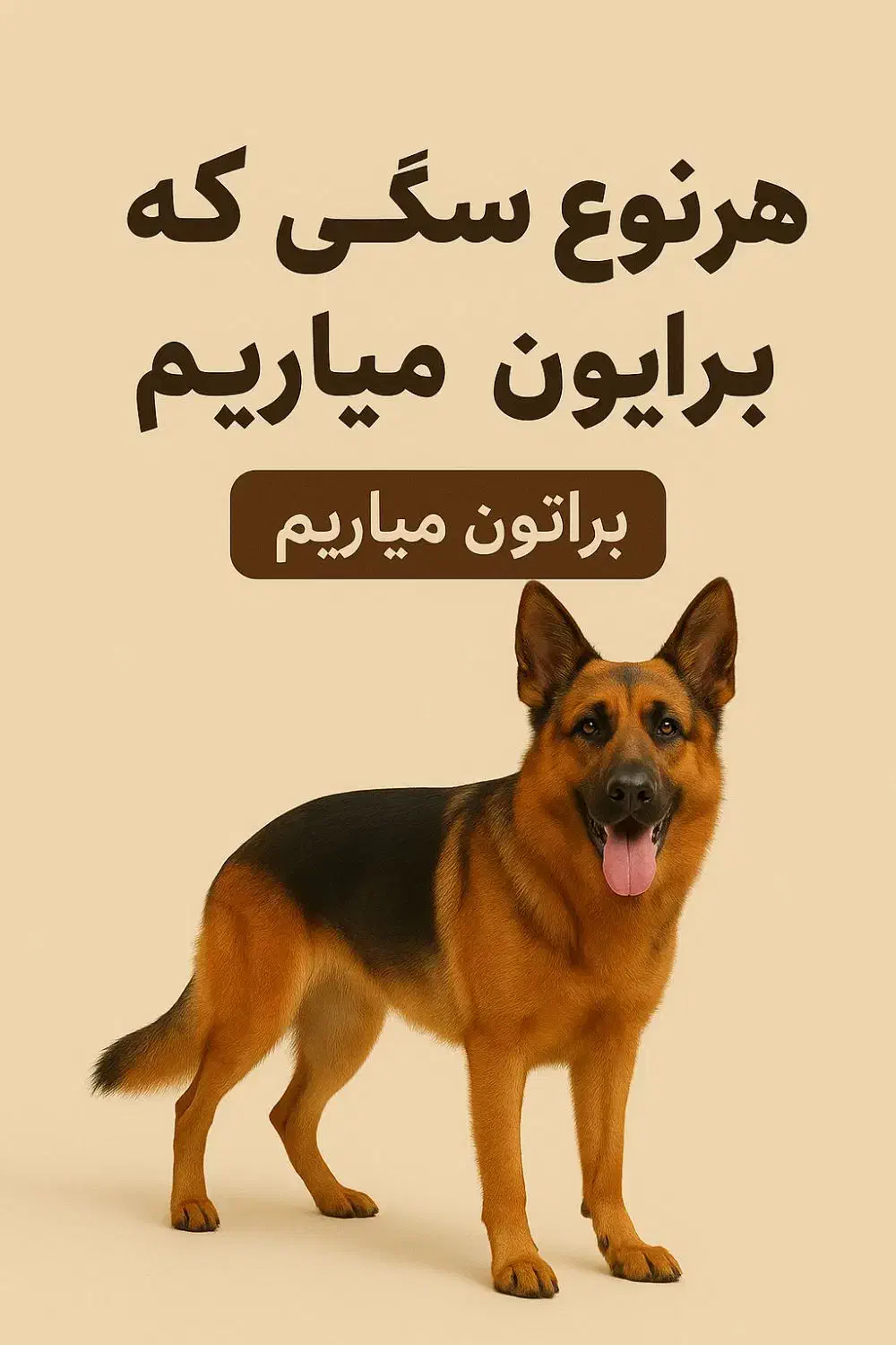 هر سگی بخواین میارم|سگ|گرگان, |دیوار