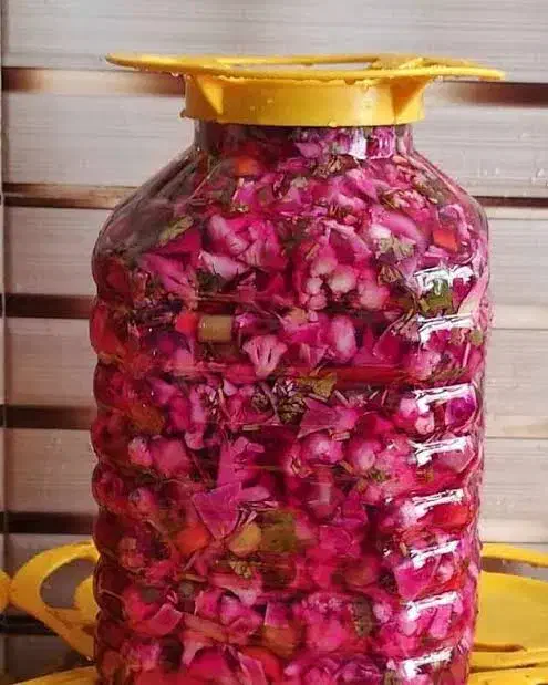 سفارش انوع ترشی پذیرفته میشود|خوردنی و آشامیدنی|مشگین شهر, |دیوار