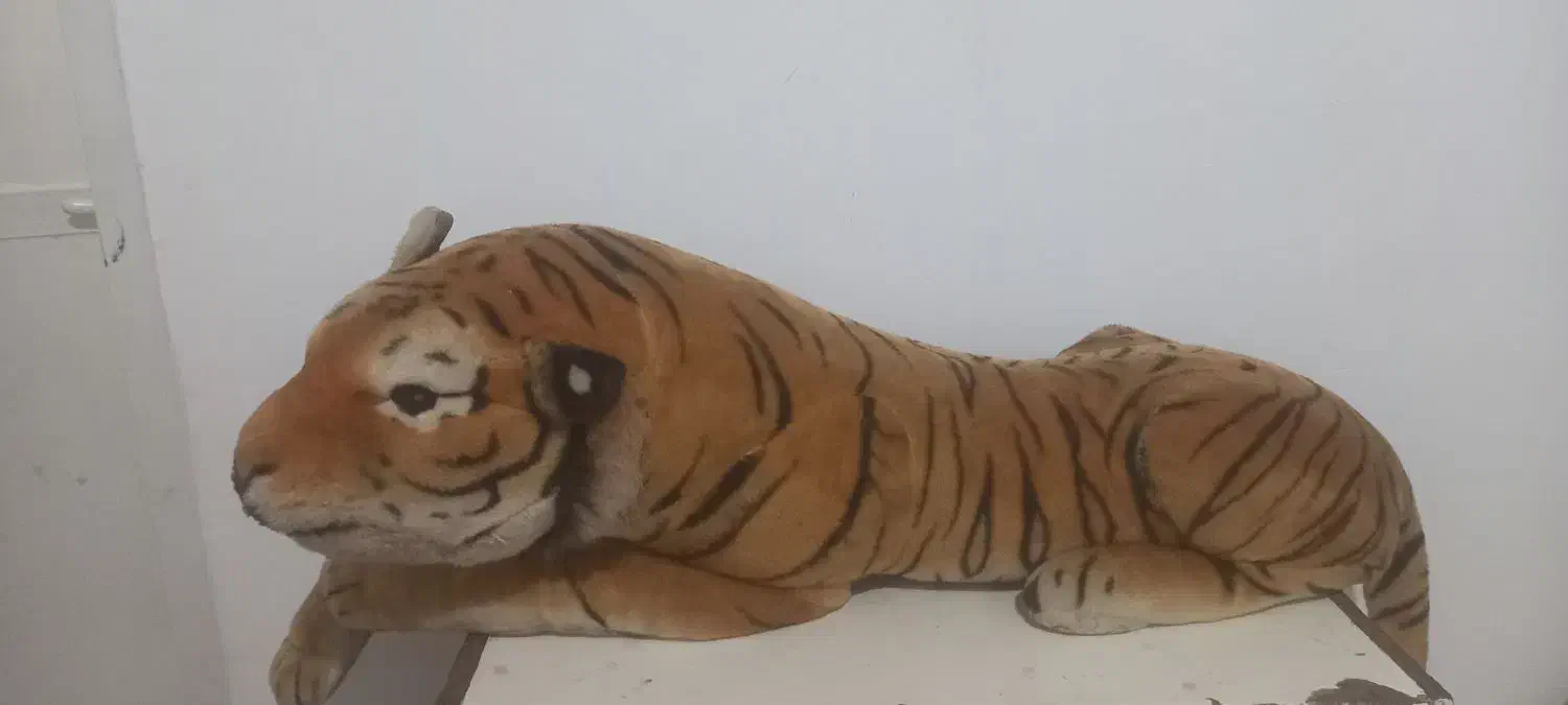 ببربزرگ وزیبا|اسباب‌بازی بچه|قوچان, |دیوار