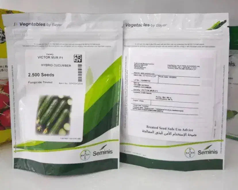 بذر خیار ویکتور|خدمات باغبانی و درختکاری|ساری, |دیوار