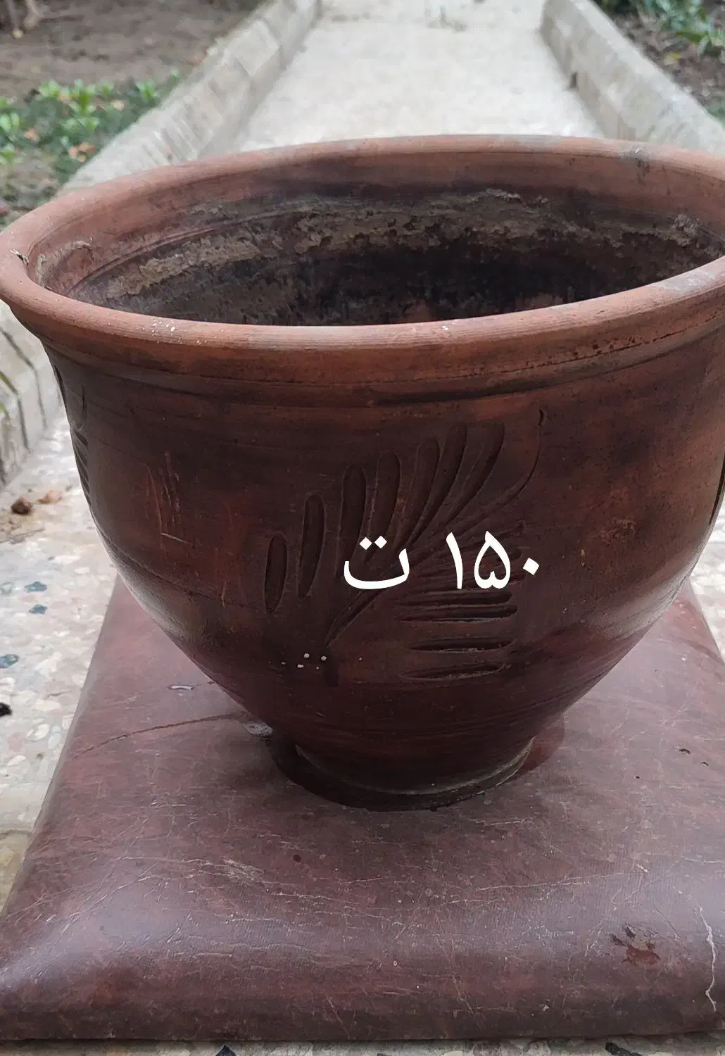 گلدان سفالی|گل و گیاه طبیعی|گنبد کاووس, |دیوار