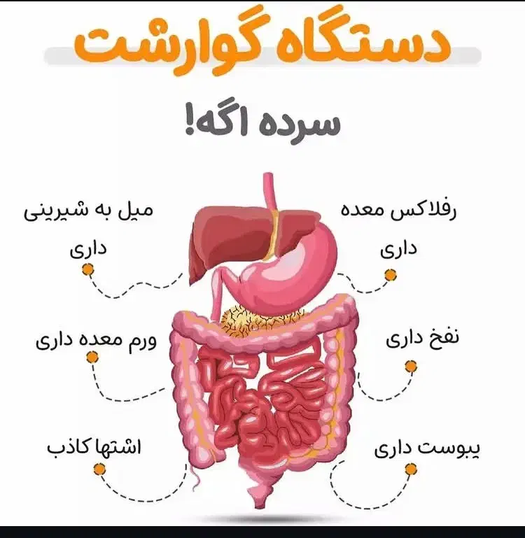 بهبودی کامل گوارش کمتر از ۱۰روز|خدمات آرایشگری و زیبایی|اصفهان, قلعه طبره|دیوار