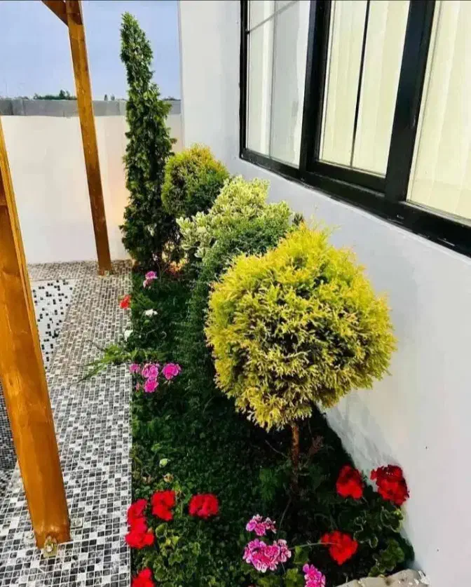 خدمات کلیه باغبانی باغچه کاری گل کاری کاشت گل وگیا|خدمات باغبانی و درختکاری|اسلامشهر, باغ فیض|دیوار