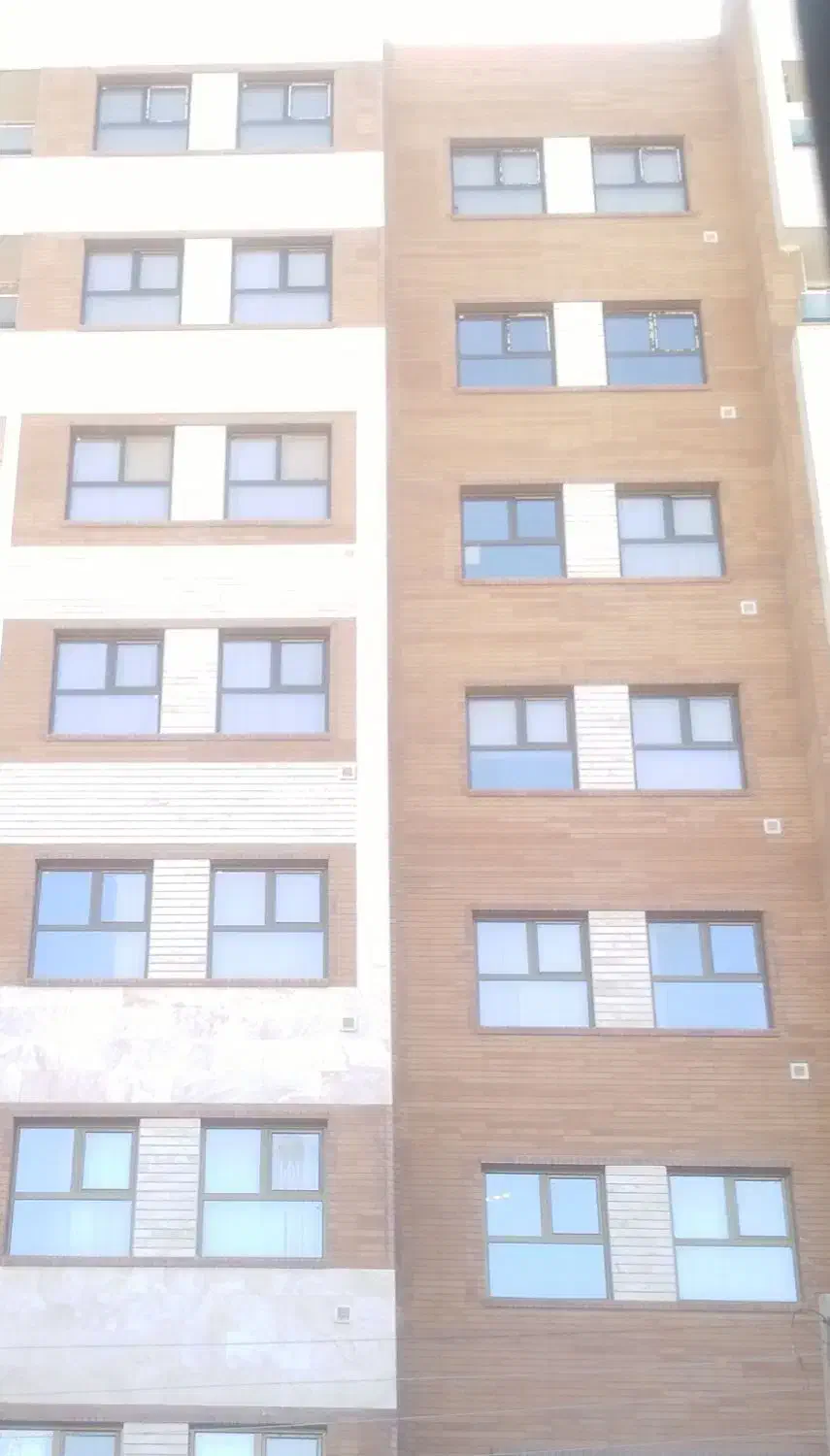 عروس هلندی گم شده|پرنده|سیرجان, |دیوار