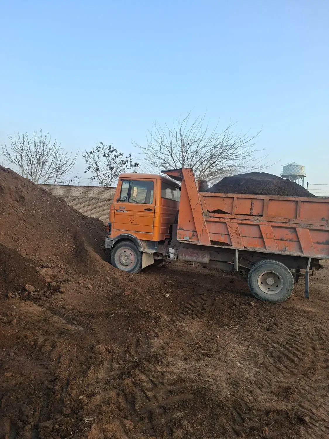 کود گاوی و گوسفندی|خدمات باغبانی و درختکاری|پاکدشت, پاکدشت (مامازند)|دیوار