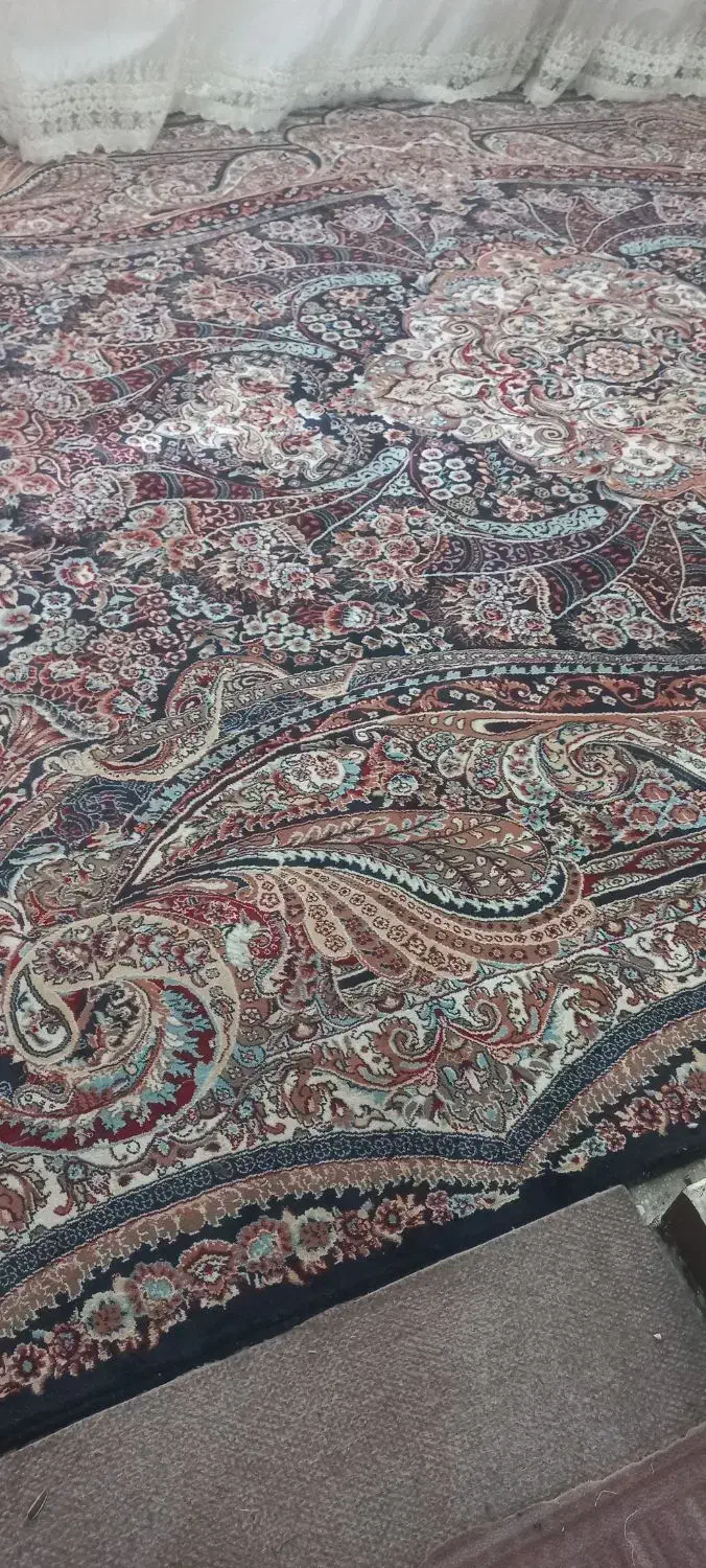 دو عدد فرش سرمه ای|فرش|اندیمشک, |دیوار