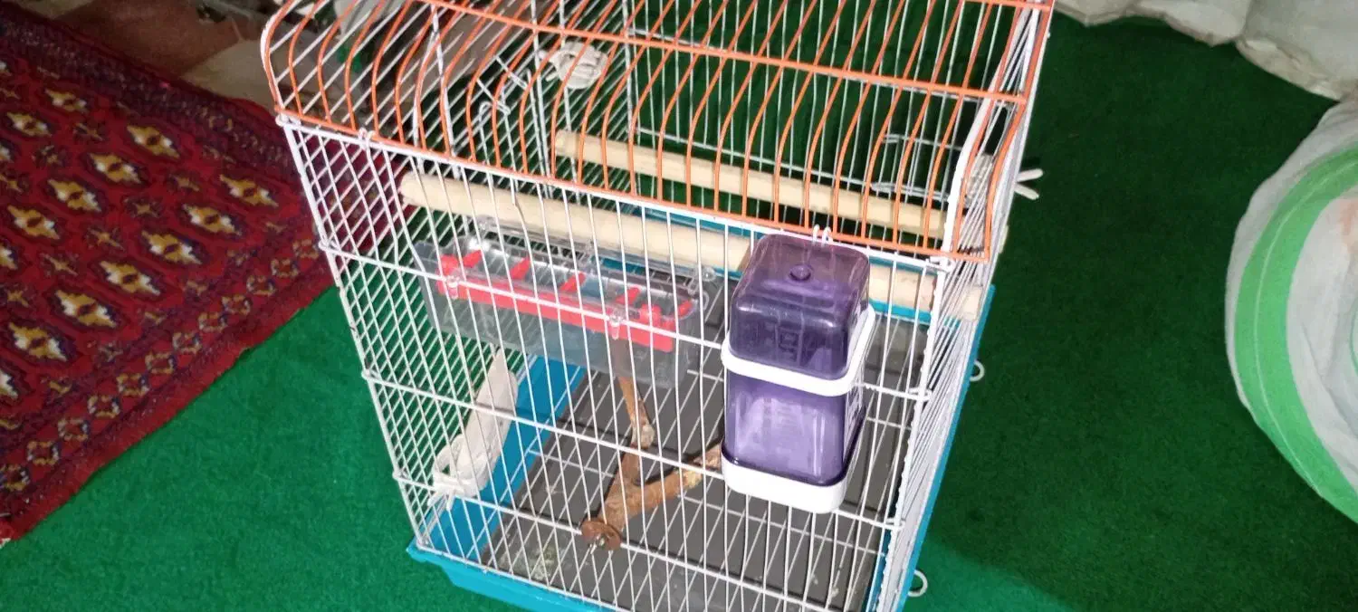 ۱۱۱|لوازم جانبی حیوانات|برازجان, |دیوار