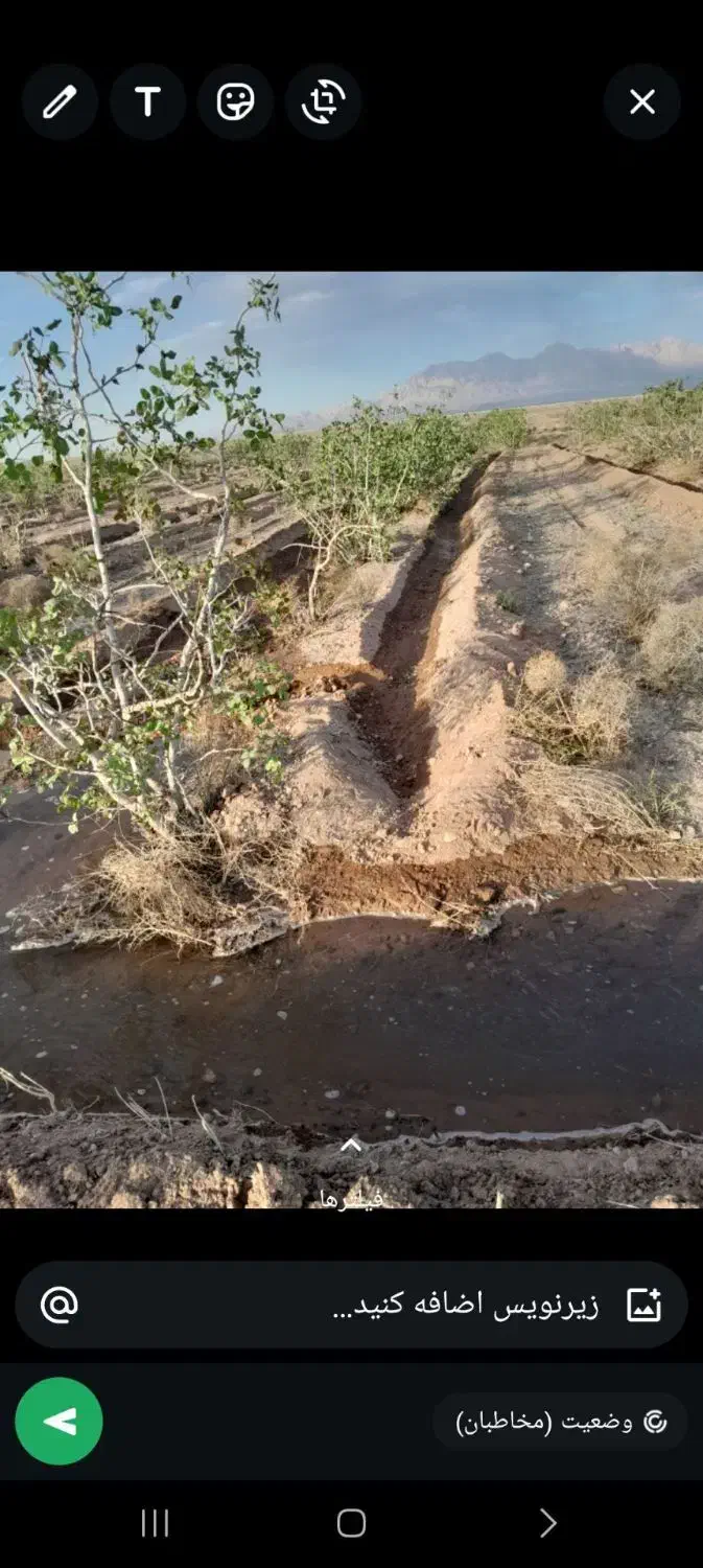 فروش زمین کشاورزی|فروش زمین و ملک کلنگی|نگار, |دیوار