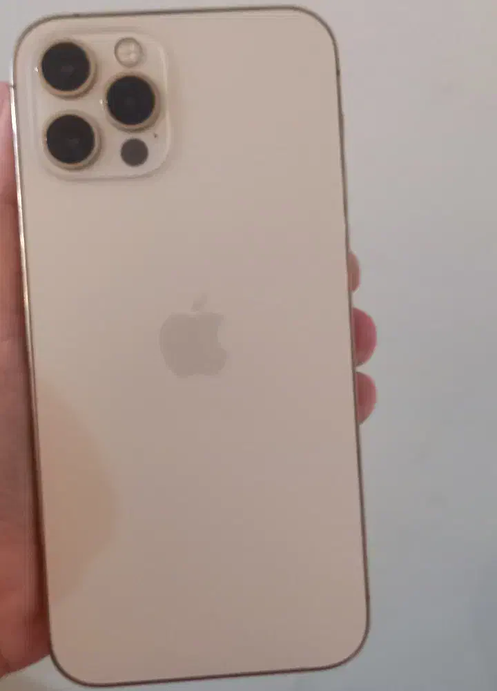 آیفون ۱۲ پرو|موبایل|تهران, کیانشهر|دیوار