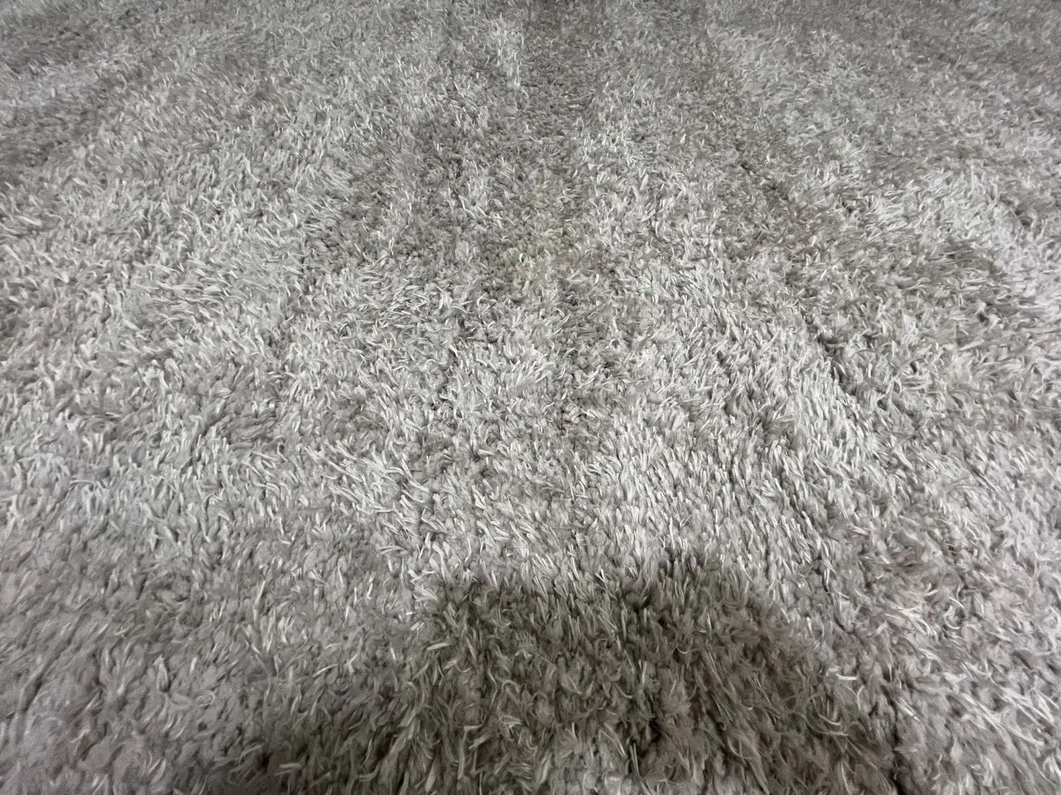 فرش فانتزی نسکافه ای ۶متری|فرش|تهران, قیام|دیوار