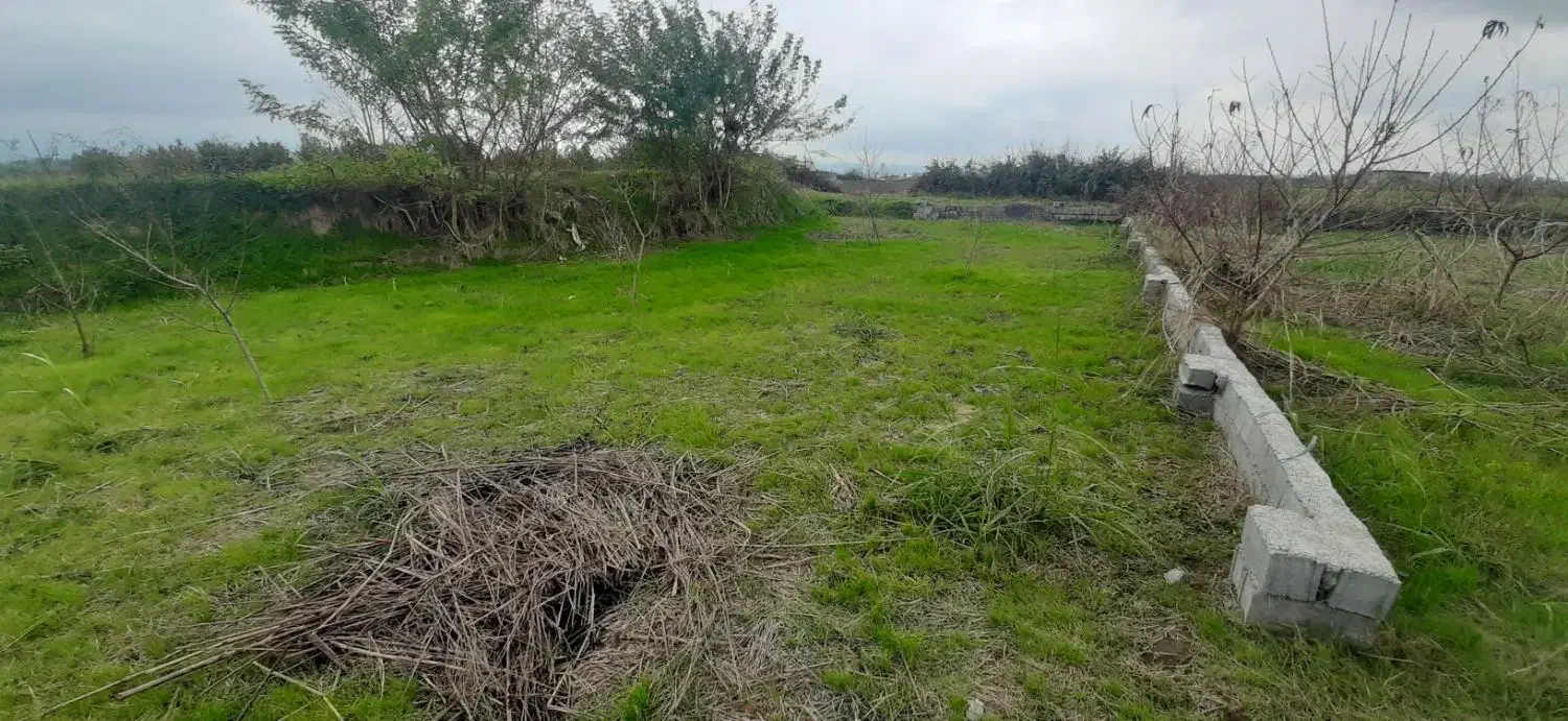 فروش ملک باغی زیرقیمت|فروش زمین و ملک کلنگی|آمل, |دیوار