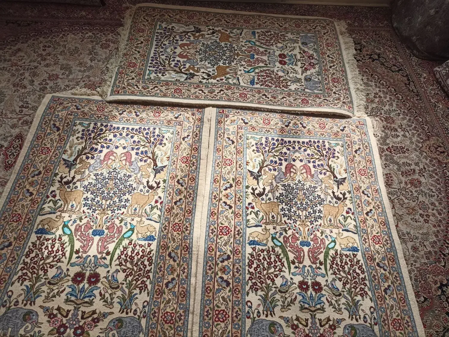 فرش دستبافت|فرش|بیرجند, |دیوار